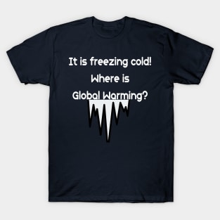 It is freezing cold.  Where is Global Warming? T-Shirt